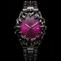 RAVEN Raspberry
